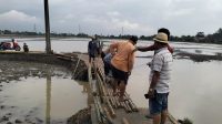Akibat Banjir Jalan penghubung Kalendroak Kampung Tengah Terputus Kades Karangsari dan Warga Gotongroyong