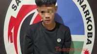 Satres Narkoba Polres Pagar Alam Ringkus Kurir Narkoba Barang Bukti 13 Paket 11,51 Gram