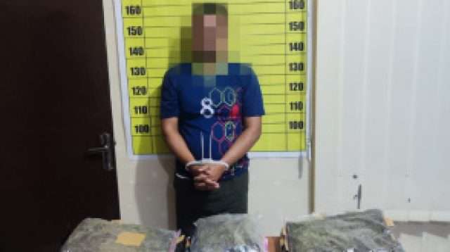 Nodai Bulan Suci Ramadhan, 2 pria Bawa 9,19 Kilogram Ganja Dibekuk Tim Gabungan Polda Kalbar, BNN dan Bea Cukai Kalbar