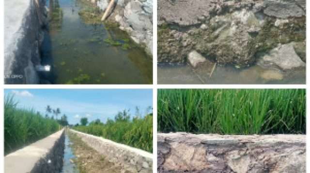 Diduga Kontraktor Pebayuran Kerjakan Proyek JUT Asal Jadi