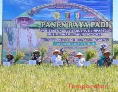 PJ Bupati Pringsewu Hadiri Panen Raya Varietas Unggul Baru (VUB) Inpari 32  Musim Tanam 1 Tahun  2022-2023