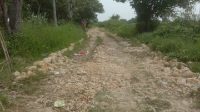 Proyek Pengerasan Jalan Sungai Kramat Ada Dugaan Korupsi