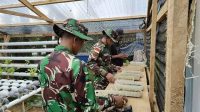 Satgas Yonarmed 1 Kostrad Inisiasi Tanaman Hidroponik di Maluku