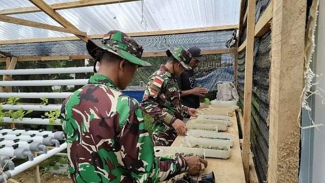 Satgas Yonarmed 1 Kostrad Inisiasi Tanaman Hidroponik di Maluku