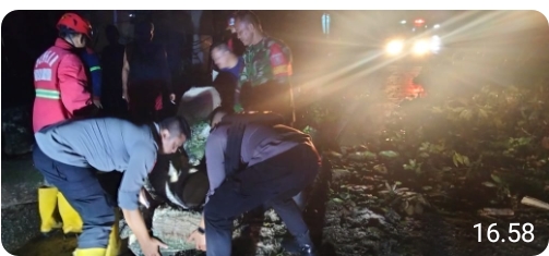 Babinsa Gotong Royong Bersama Masyarakat Singkirkan Pohon Tumbang