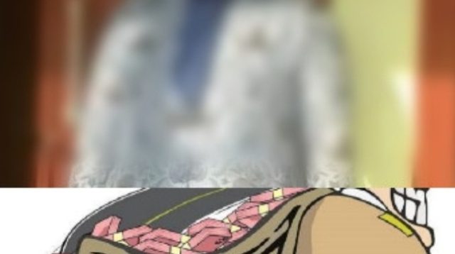 Diduga PJ Kepala Desa Gedung Agung Korupsi Dana Desa Prasarana Aset Tetap