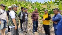 Satu Titik Kebakaran Hutan Gunung Jayanti Sukabumi Sudah Padam