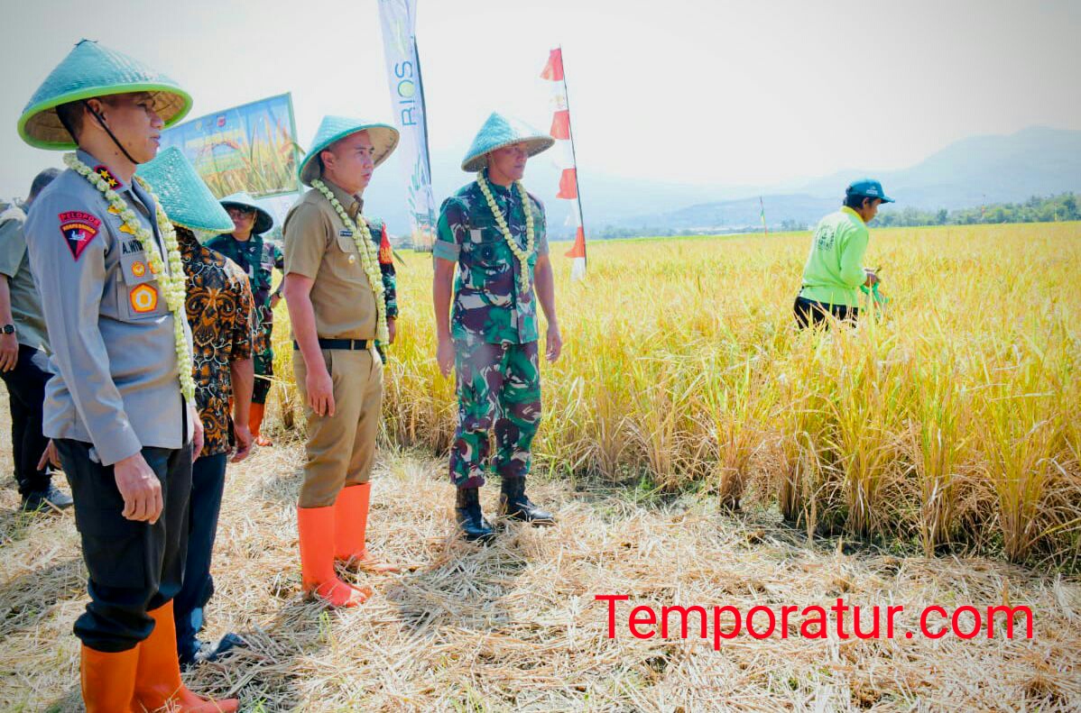Hasil Panen Meningkat, Pj. Gubernur Jabar Apresiasi Kelompok Tani Mekarwangi di Cicalengka