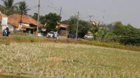 Strategi Solusi Pemda Bekasi Menghadapi Kekeringan di Sektor Pertanian