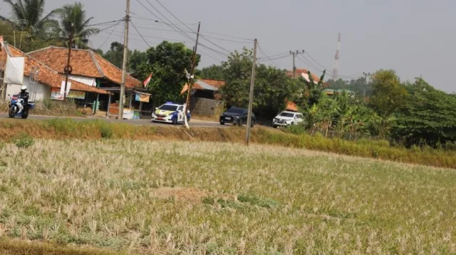 Strategi Solusi Pemda Bekasi Menghadapi Kekeringan di Sektor Pertanian