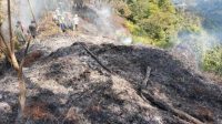 Kebakaran Hutan Gunung Salak Berhasil Dipadamkan