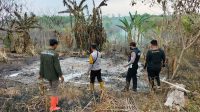 Musim Kemarau Terjadi, Api Merajalela Membakar Hutan