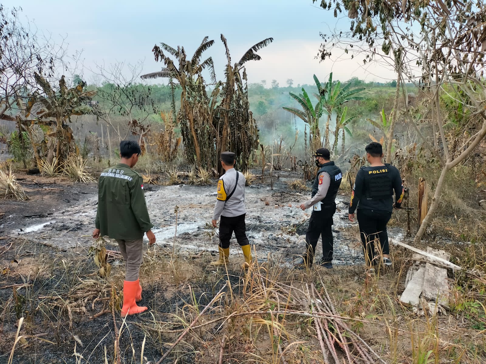 Musim Kemarau Terjadi, Api Merajalela Membakar Hutan