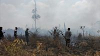Titik Hotspot Karthulah Kembali Terpantau, Polsek Talang Ubi Bantu Padamkan Api