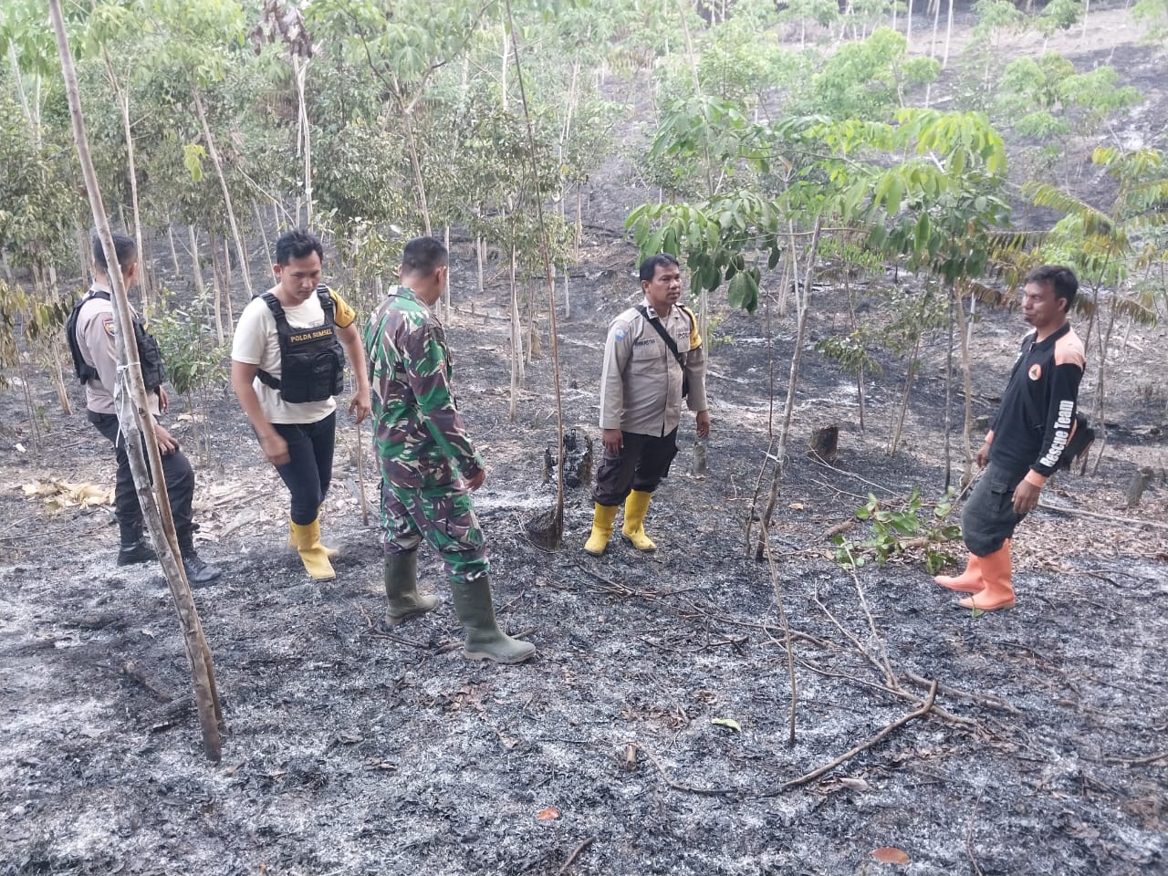 Terpantau Titik Hotspot Karhutla Di Desa Talang Akar
