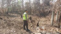 Kembali Terpantau Titik Hotspot Karhutla Diwilayah Desa Air Itam