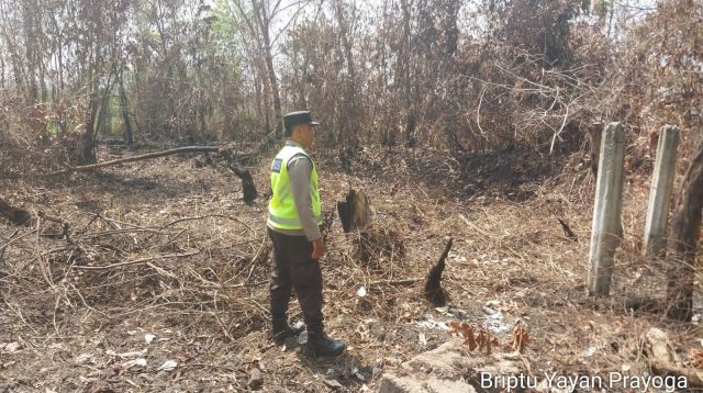 Kembali Terpantau Titik Hotspot Karhutla Diwilayah Desa Air Itam