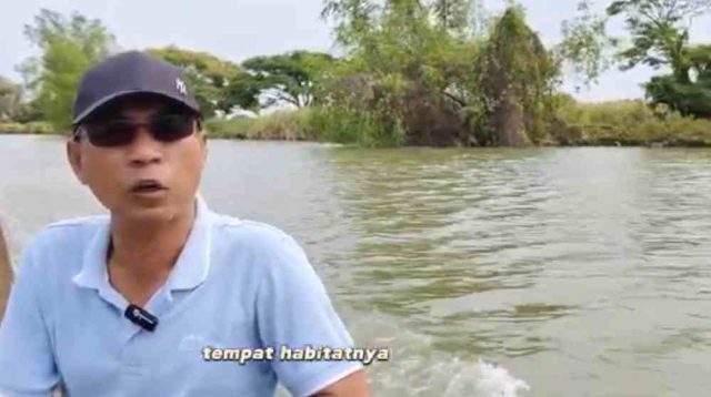 Mbah Geon : Lutung Jawa Endemik di Muara Gembong Kabupaten Bekasi