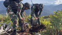 Satgas Yonif 330 Kostrad Peringati Hari Pohon Sedunia