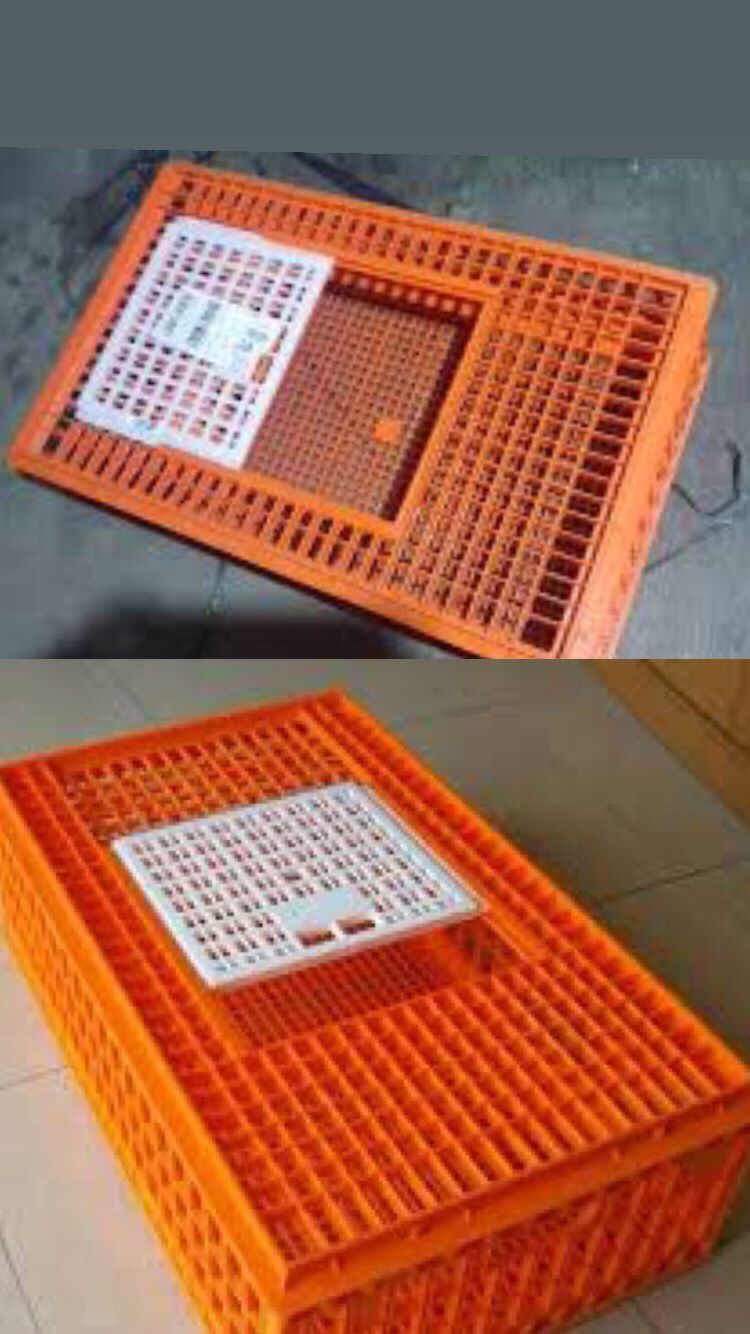 Unit Reskrim Polsek Talang Ubi Berhasil Mengungkap Dugaan Kasus Perkara Penggelapan Ayam Potong