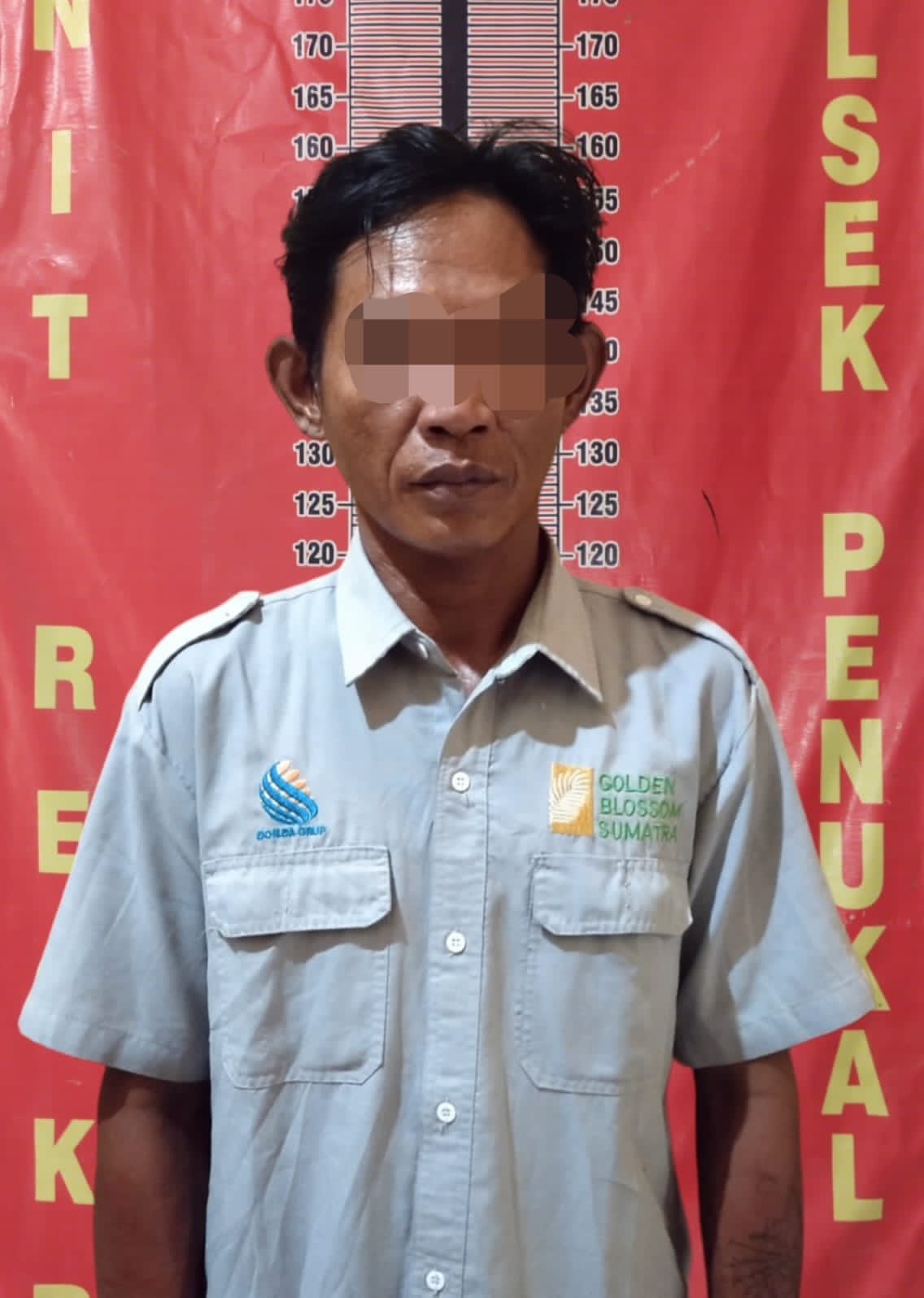 Diduga Lakukan Tindakan Pengancaman, Oknum Mandor PT GBS Berurusan Dengan Polisi