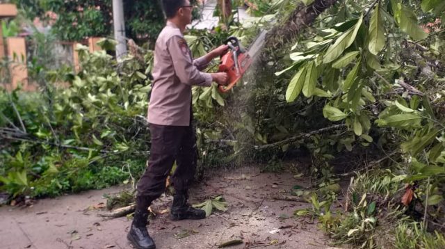 Polsek Penukal Abab Bergerak Cepat Aduan Masyarakat Terhadap Pohon Tumbang Menutupi Jalan