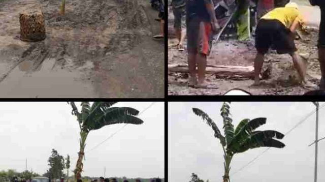 Warga Perumahan GCC 2 Kedungwaringin, Tanam Pohon Pisang di Jalan Rusak