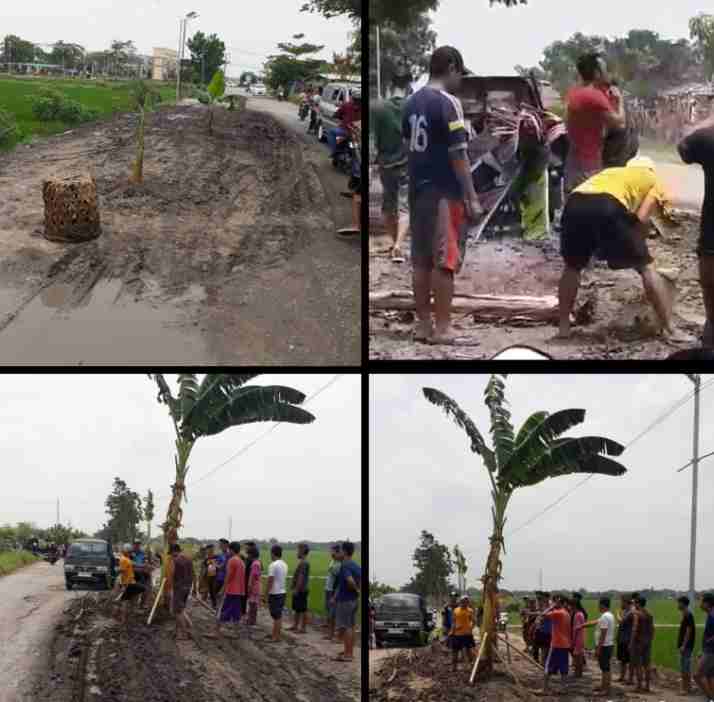 Warga Perumahan GCC 2 Kedungwaringin, Tanam Pohon Pisang di Jalan Rusak