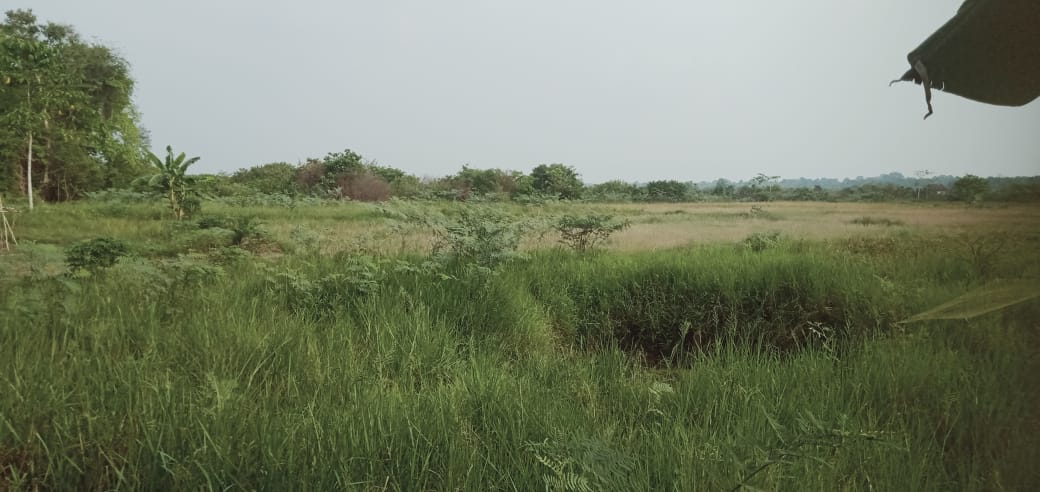 Petani Padi (Opla) Talang Padang, Mengeluhkan Tidak Tersampaikan Bantuan Dari Kementerian