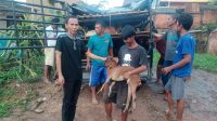 Rommy Suryadi, A.Md Anggota DPRD Kabupaten PALI Dari Fraksi PAN, Berikan Bantuan Ternak Kambing