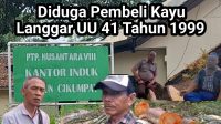 Diduga Pembeli Kayu Langgar UU 41 Tahun 1999