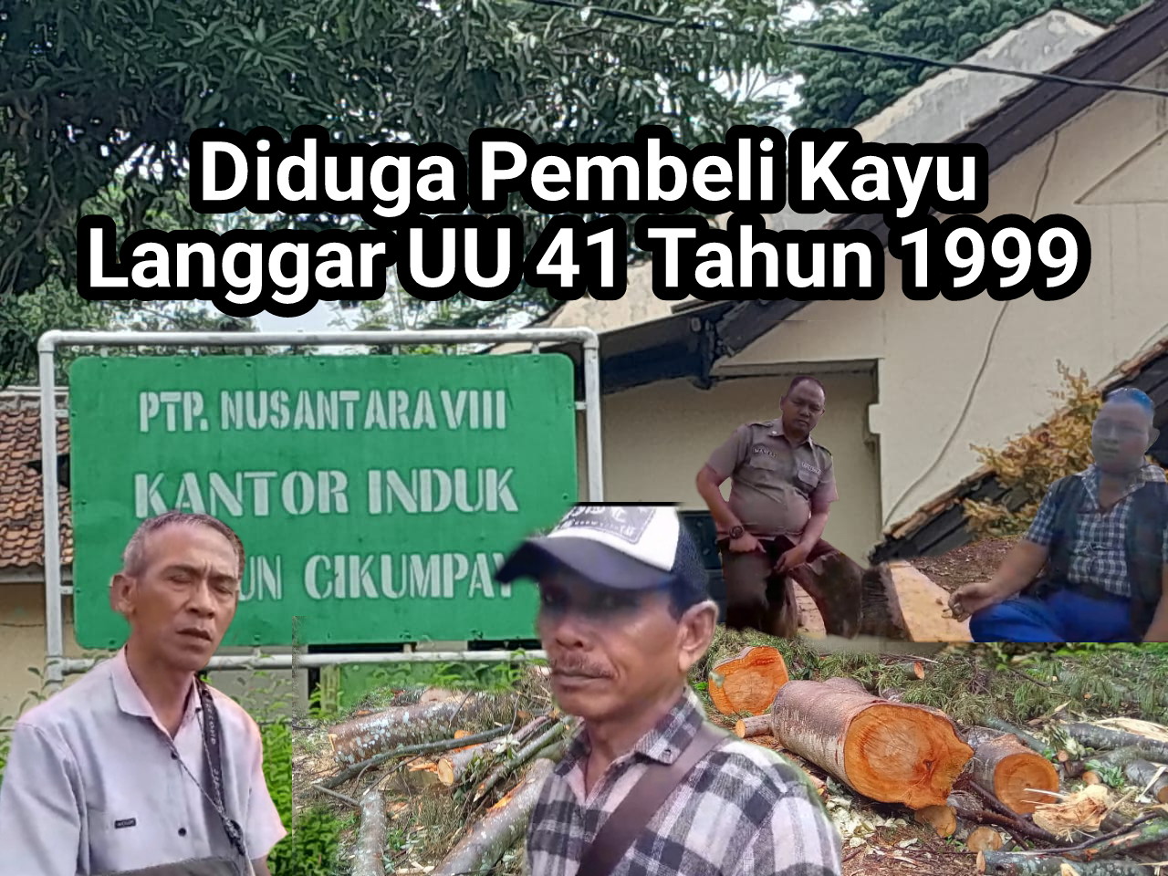 Diduga Pembeli Kayu Langgar UU 41 Tahun 1999