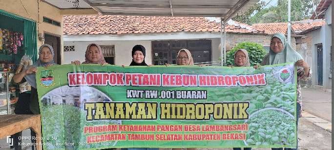 Program Ketahanan pangan Hidroponik Desa Lambangsari