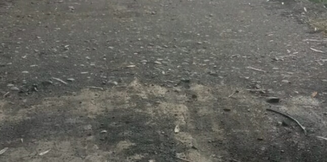 IMG 20231217 112557