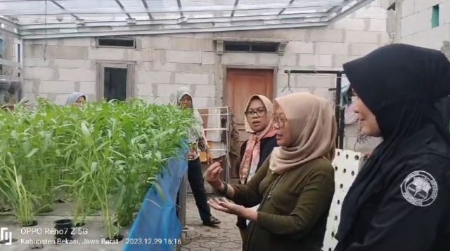 Hidroponik Program Unggulan Ketahanan Pangan di Desa Lambangsari