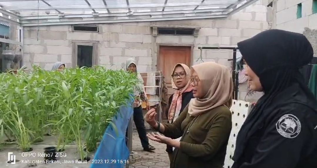 Hidroponik Program Unggulan Ketahanan Pangan di Desa Lambangsari