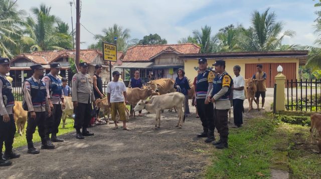 Dalam Upaya Tanggap Bencana, Kapolsek Tanah Abang Bersama Personil Amankan Hewan Ternak