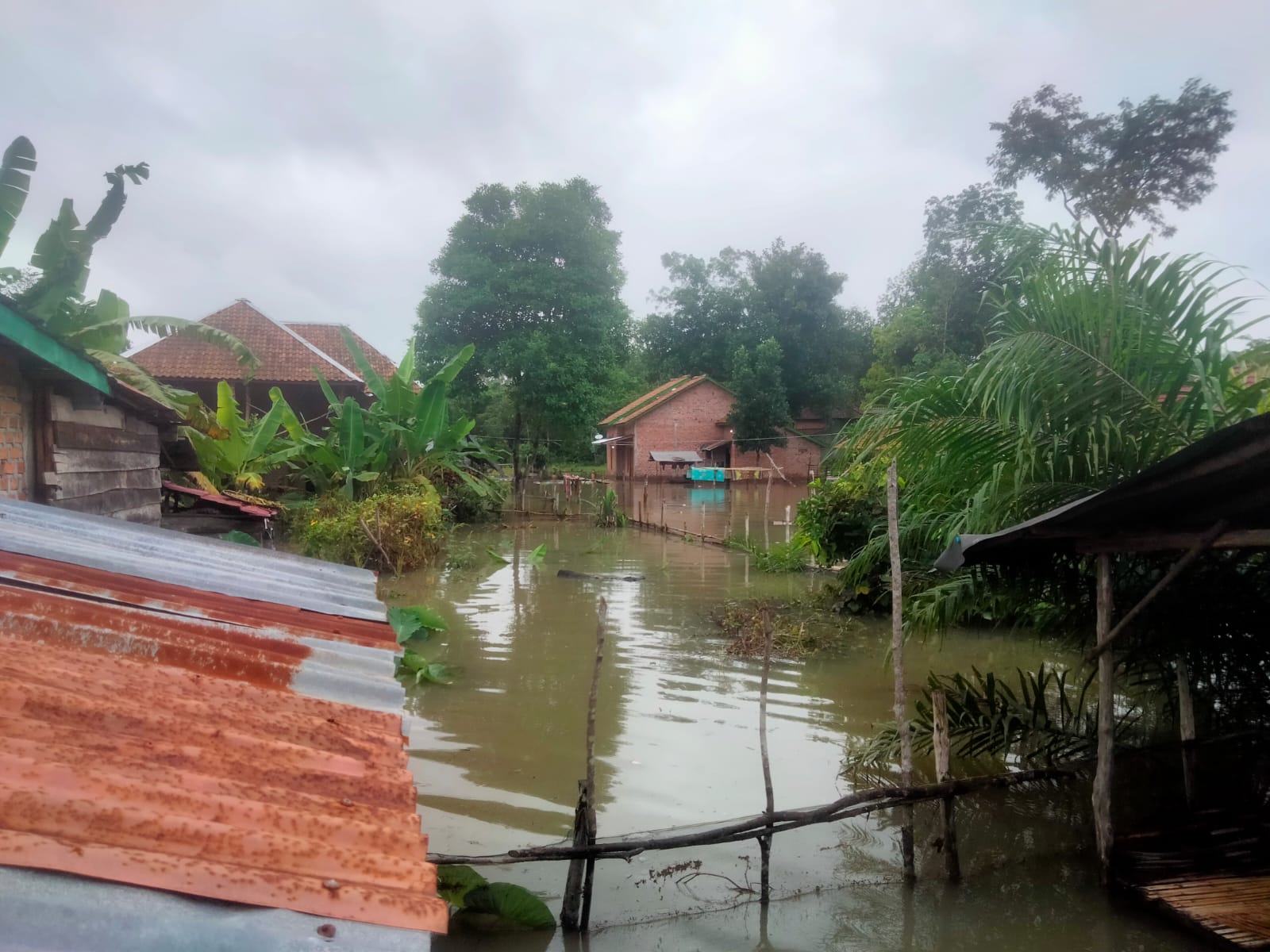 Polsek Penukal Utara Aktif Melakukan Pemantauan Terhadap Banjir Yang Melanda Sejumlah Desa di Kecamatan Penukal Utara