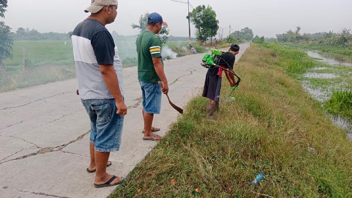 Baru Saja Selesai MWKT Pemuda Karang Taruna Desa Cipayung Bikin Gerakan Kerja Bakti Sepanjang Kali Irigasi Desa Cipayung