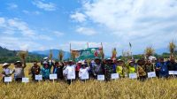 Pj Bupati Empat Lawang Fauzan Khoiri Denin Hadiri Panen Raya di Desa Muara Sindang