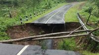 CUACA EKSTREM BPBD dan Dinas BMPR Jabar Gerak Cepat Atasi Jembatan Ambruk di Sukabumi