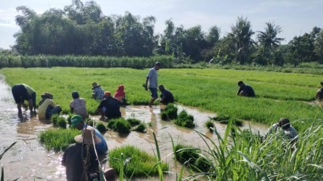 Pusaka Desa Mandiri 2024, Sosialisasikan program menuju Ketahanan Pangan Dunia