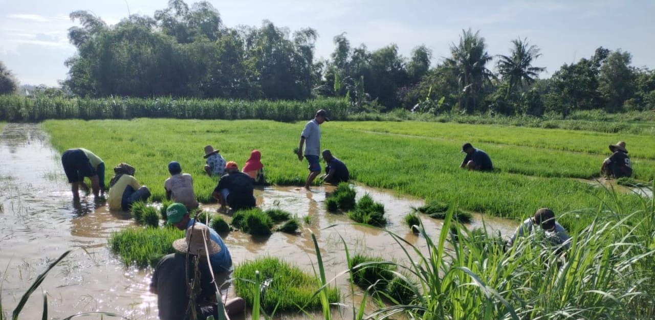 Pusaka Desa Mandiri 2024, Sosialisasikan program menuju Ketahanan Pangan Dunia