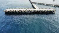 Proyek Rehabilitasi Faspel Dermaga Pulau Sapudi Disoal. Ketua LIPK Kab. Sumenep : “Pelaksana Harus Bertanggungjawab”