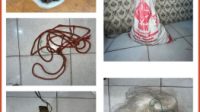 Sat Reskrim Polres Pesisir Barat Ungkap Kasus Perburuan Satwa Dilindungi