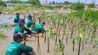 Platform Kolaborasi untuk Perusahaan Melakukan Penghijauan dan Mitigasi Perubahan Iklim