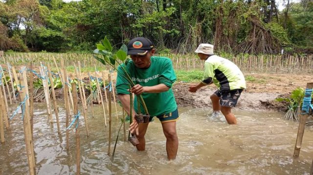 Dampak Nyata LindungiHutan Tanam 978.000 Pohon di Indonesia