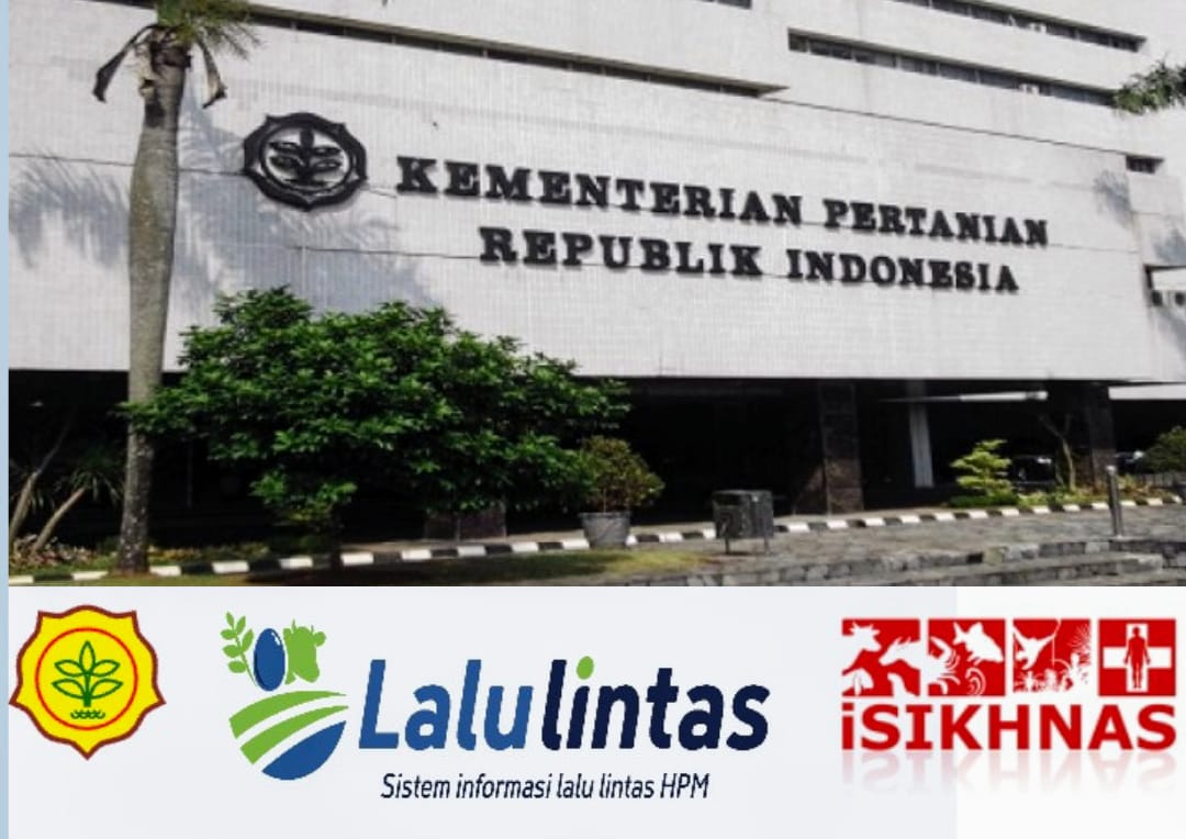 Ritual Adat Dan Keagamaan Acap Kali Tertunda di Sulawesi Barat, Gegara Kelangkaan Hewan Kerbau, Siapa Bertanggung Jawab?