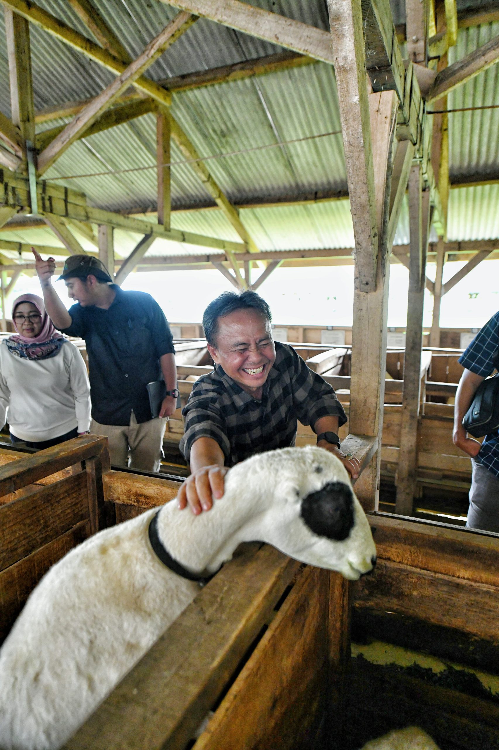 KETAHANAN PANGAN, Jabar Tingkatkan Pembibitan Domba Garut