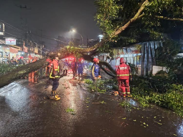 Hujan Deras di Cimahi, Pohon Tumbang dan Menghalangi Jalan
